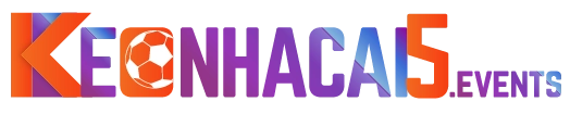 thedailycurator.co